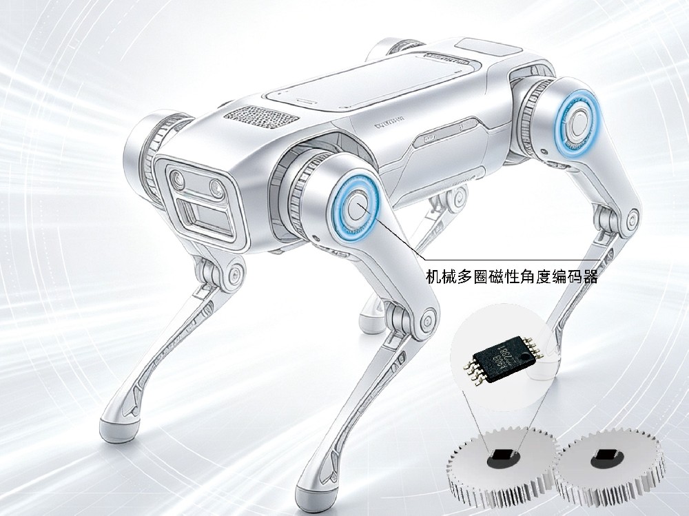 Quadruped Robot